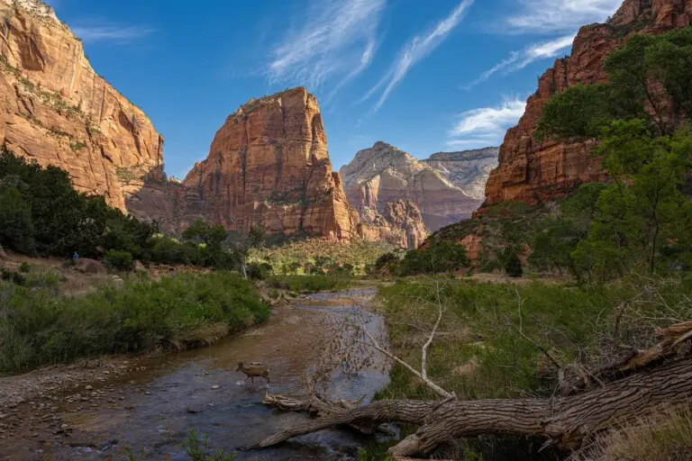 Zion National Park